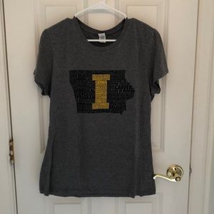 University of Iowa Biomedical Sciences Tee - Gray